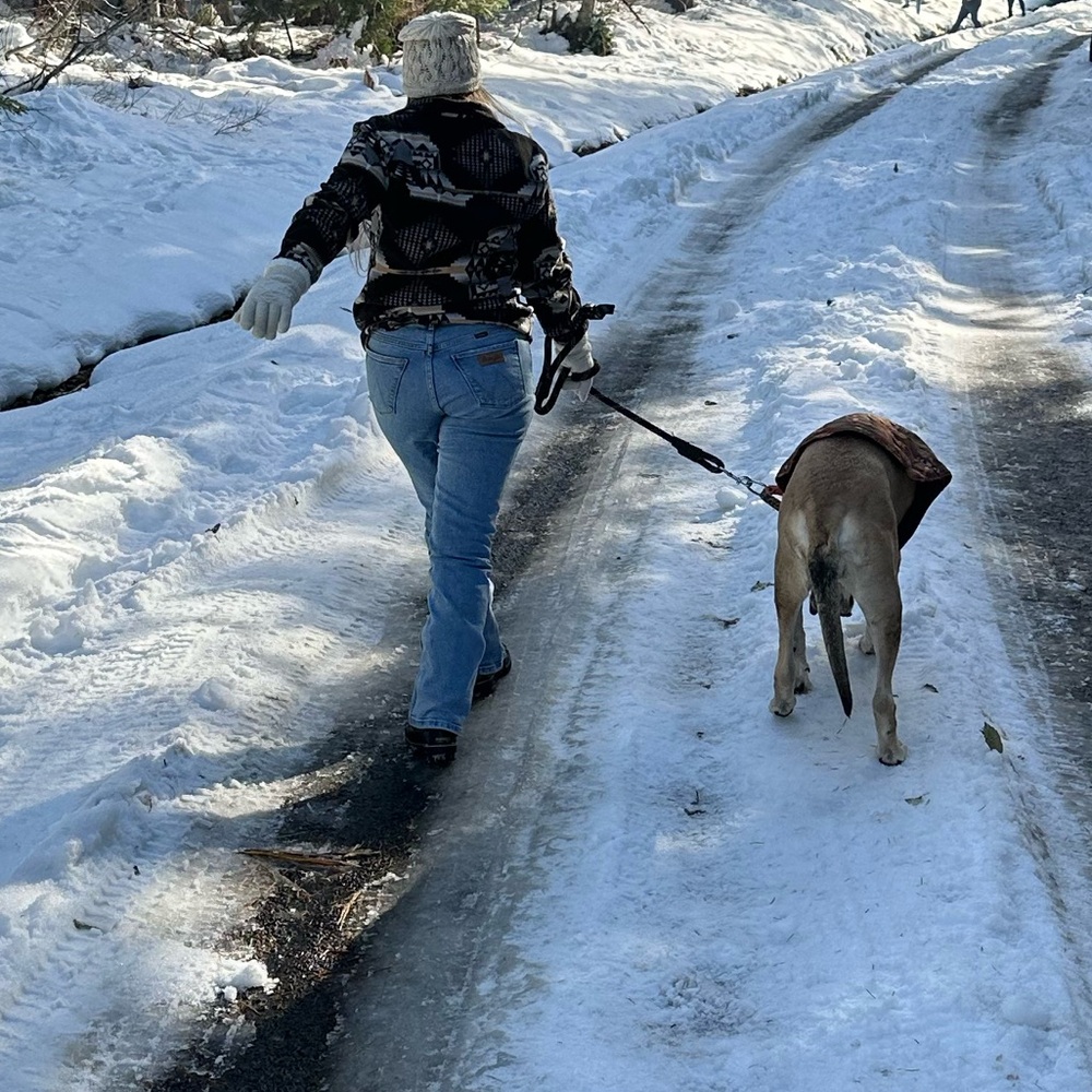 Meet your Posher, Des